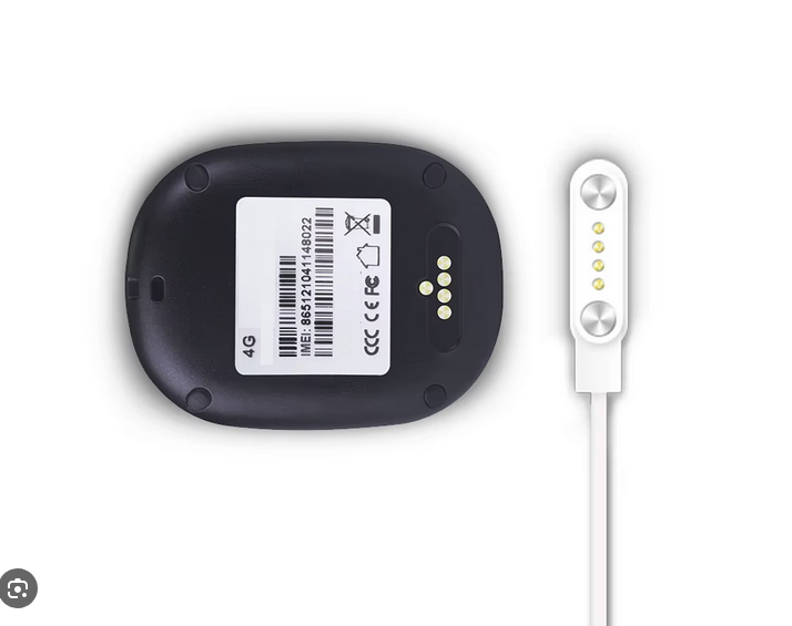 LiveGPS24 X1-4G Pro Tracker